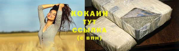 прущая мука Арсеньев