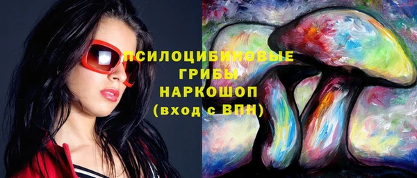 прущая мука Арсеньев