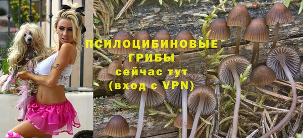 гидра Армянск